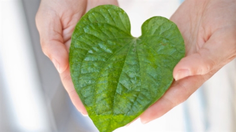 Bí quyết trẻ hóa vùng kín