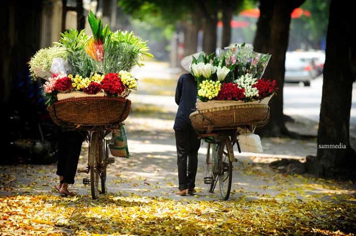 Nâng mũi bao nhiêu tiền ở Hà Nội
