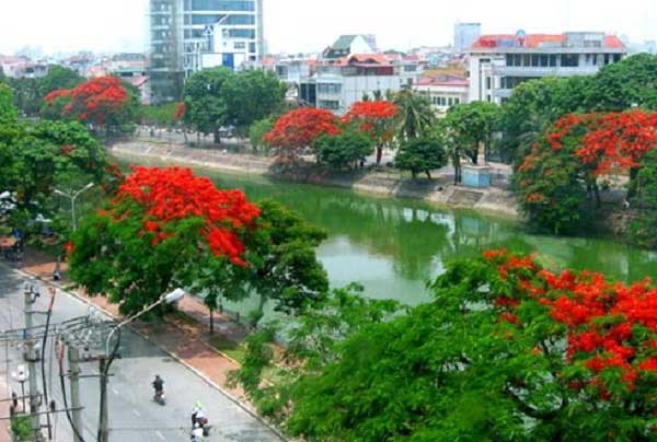 Nâng mũi ở Hải Phòng