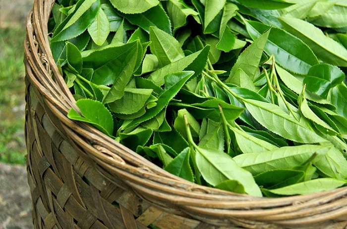 Giá làm hồng vùng kín