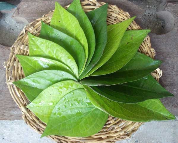 Trẻ hóa vùng kín an toàn
