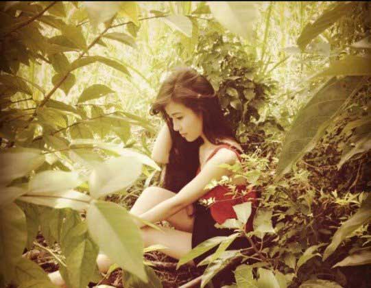 Thu gọn cánh mũi