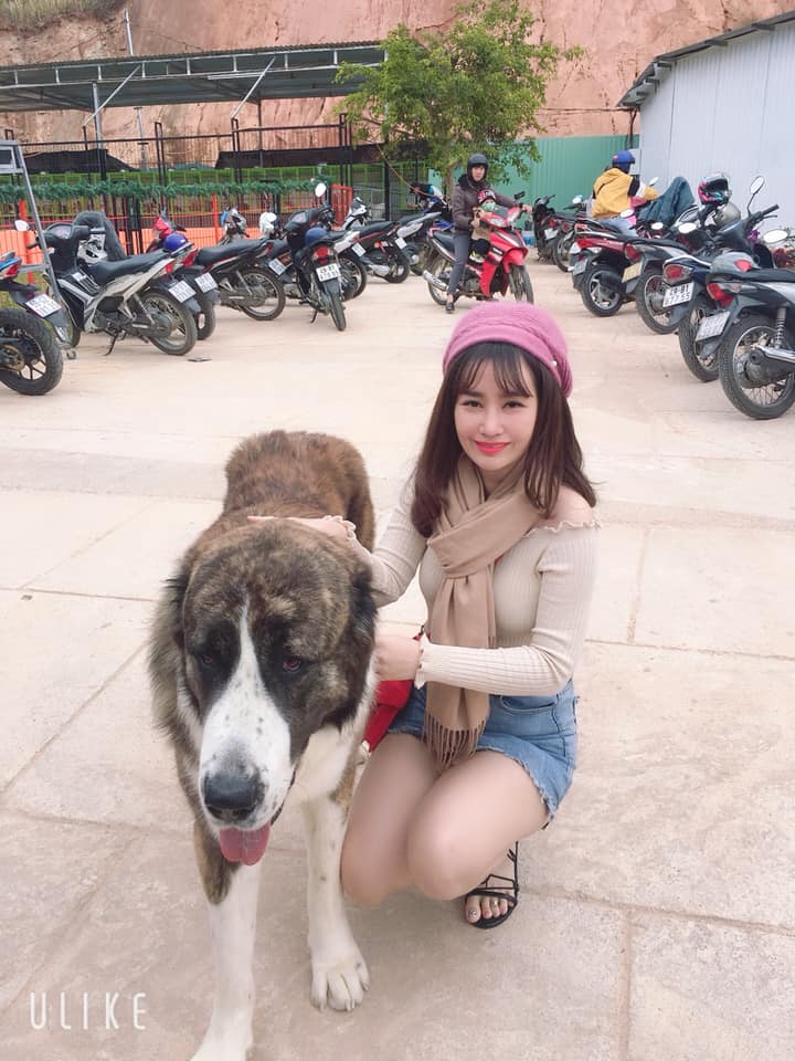 Độn cằm