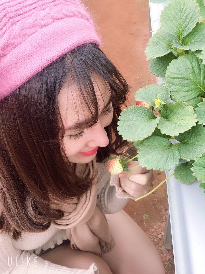 Độn cằm