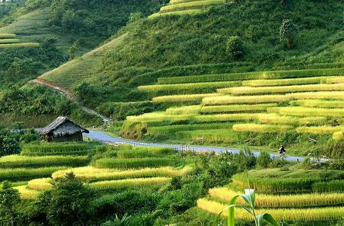 Bác sĩ thẩm mỹ uy tín ở Bắc Kạn