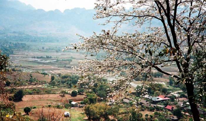 Bác sĩ thẩm mỹ uy tín ở Điện Biên