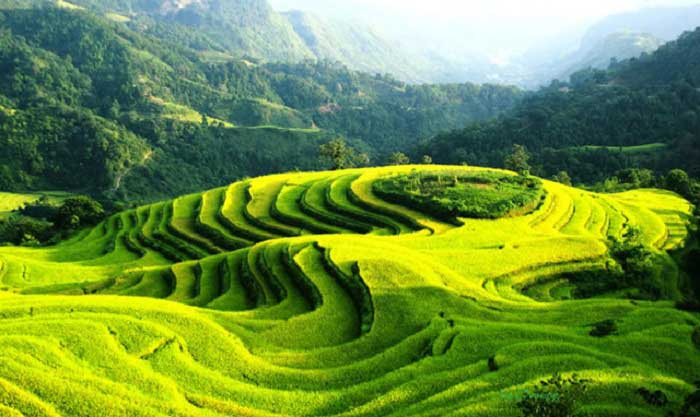 Nâng mũi Hàn Quốc ở Hà Giang