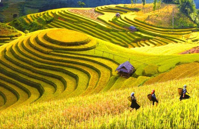 Thẩm mỹ viện uy tín ở Lai Châu Thẩm mỹ viện uy tín ở Lai Châu