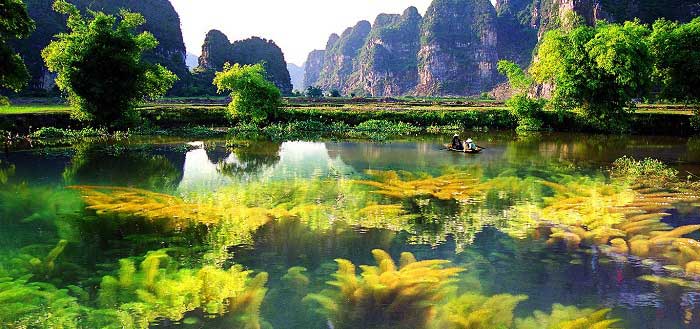 Thẩm mỹ viện uy tín ở Bình Định