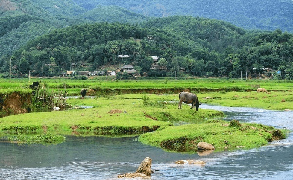 Nâng mũi Hàn Quốc ở Phú Thọ 