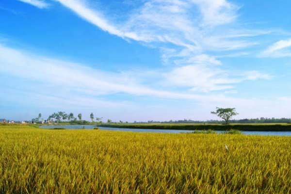 Bác sĩ thẩm mỹ uy tín ở Thái Bình