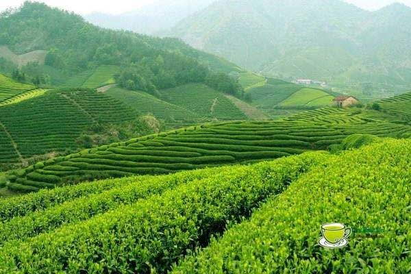 Bác sĩ thẩm mỹ uy tín ở Thái Nguyên