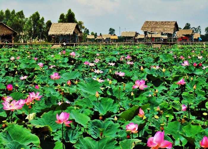 Nâng mũi Hàn Quốc ở Đồng Tháp