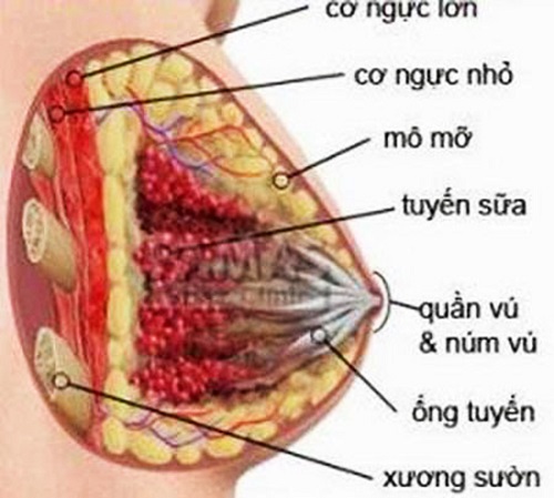 Giá nâng ngực tại Hà Nội