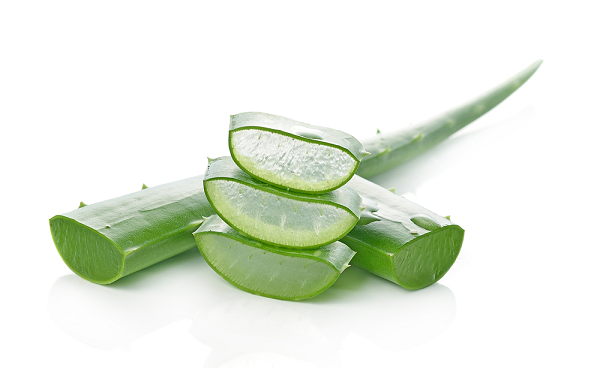 Se khít vùng kín bằng lô hội có tốt không?