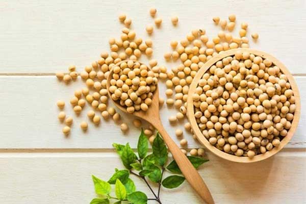 Top 5 loại thực phẩm được xem là có công dụng tăng size vòng 1