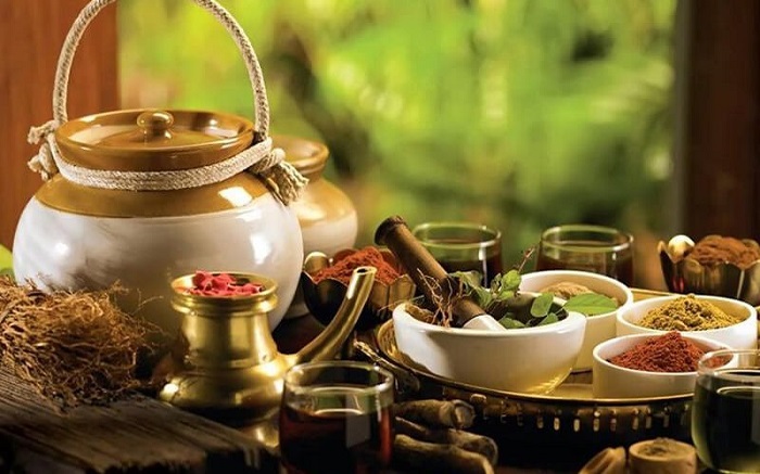 Thuốc Bắc có thật sự giúp ngực tăng kích cỡ hay không?