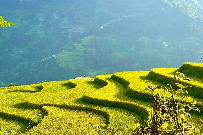 Nâng mũi ở Hà Giang