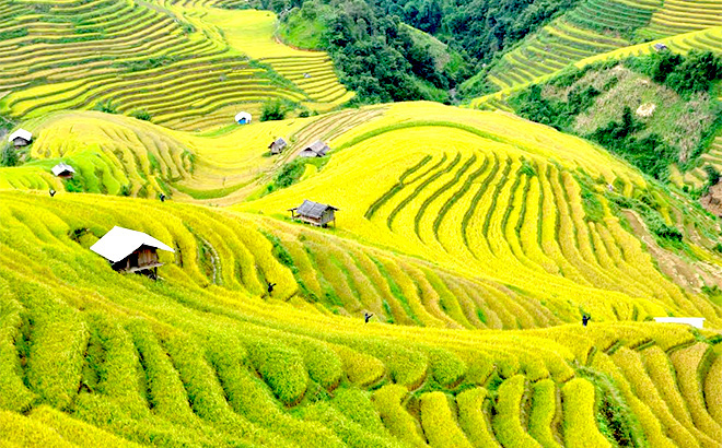 Nâng mũi ở Yên Bái