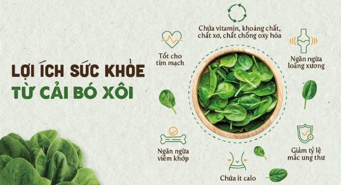 Cải bó xôi giảm mỡ