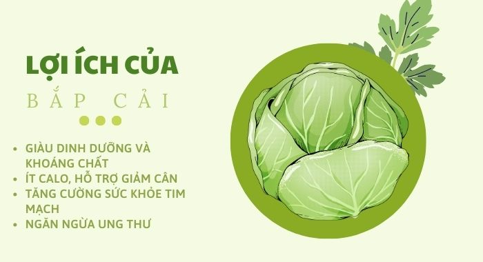 Bắp cải