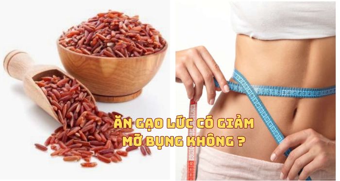 Ăn gạo lứt có giảm mỡ bụng không