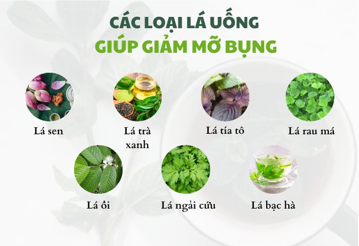 Các loại lá uống giảm mỡ bụng
