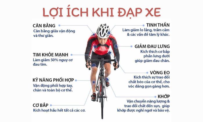 Đạp xe có giảm mỡ bụng dưới không