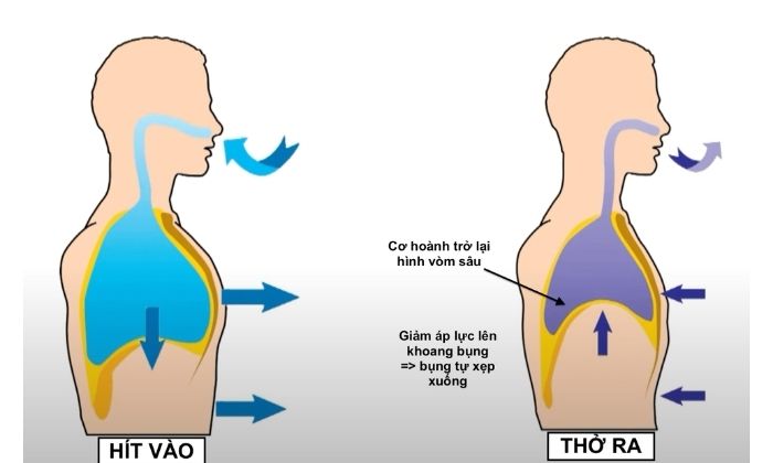 Hít thở yoga giảm mỡ bụng