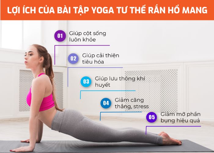 Tư thế rắn hổ mang giảm mỡ bụng