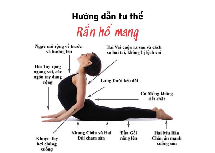 Tư thế rắn hổ mang giảm mỡ bụng