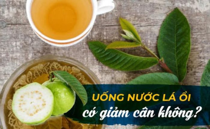 Uống lá ổi có giảm mỡ bụng không