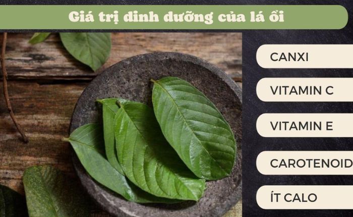Uống lá ổi có giảm mỡ bụng không