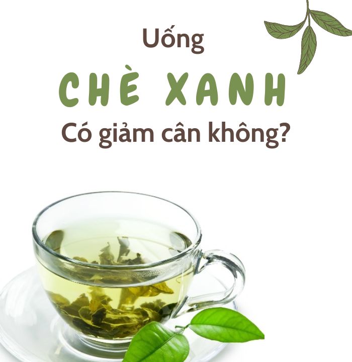 Uống nước chè xanh có giảm mỡ bụng không