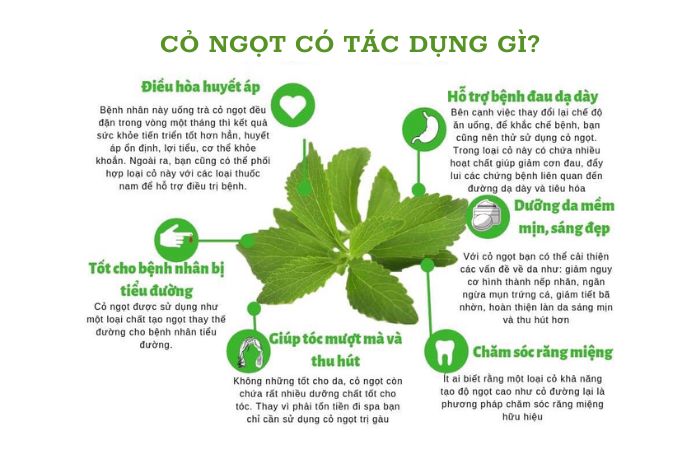 Cây thuốc nam giảm mỡ bụng