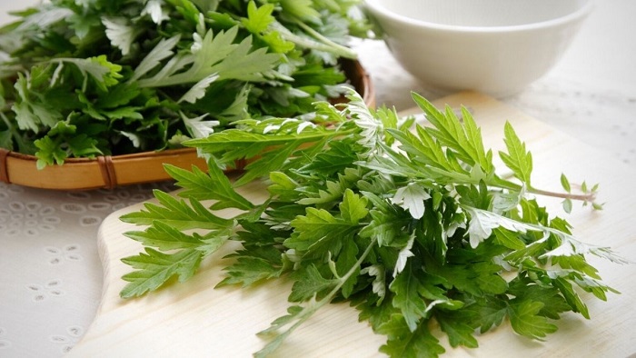 làm trắng da mặt tại nhà bằng ngải cứu