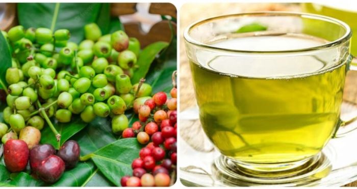 Uống nước vối có giảm mỡ bụng không