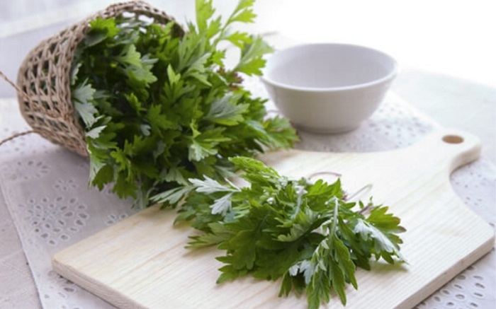 làm đẹp da mặt bằng ngải cứu làm đẹp da mặt bằng ngải cứu