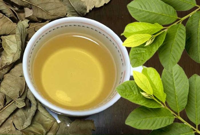 Lá uống giảm mỡ bụng