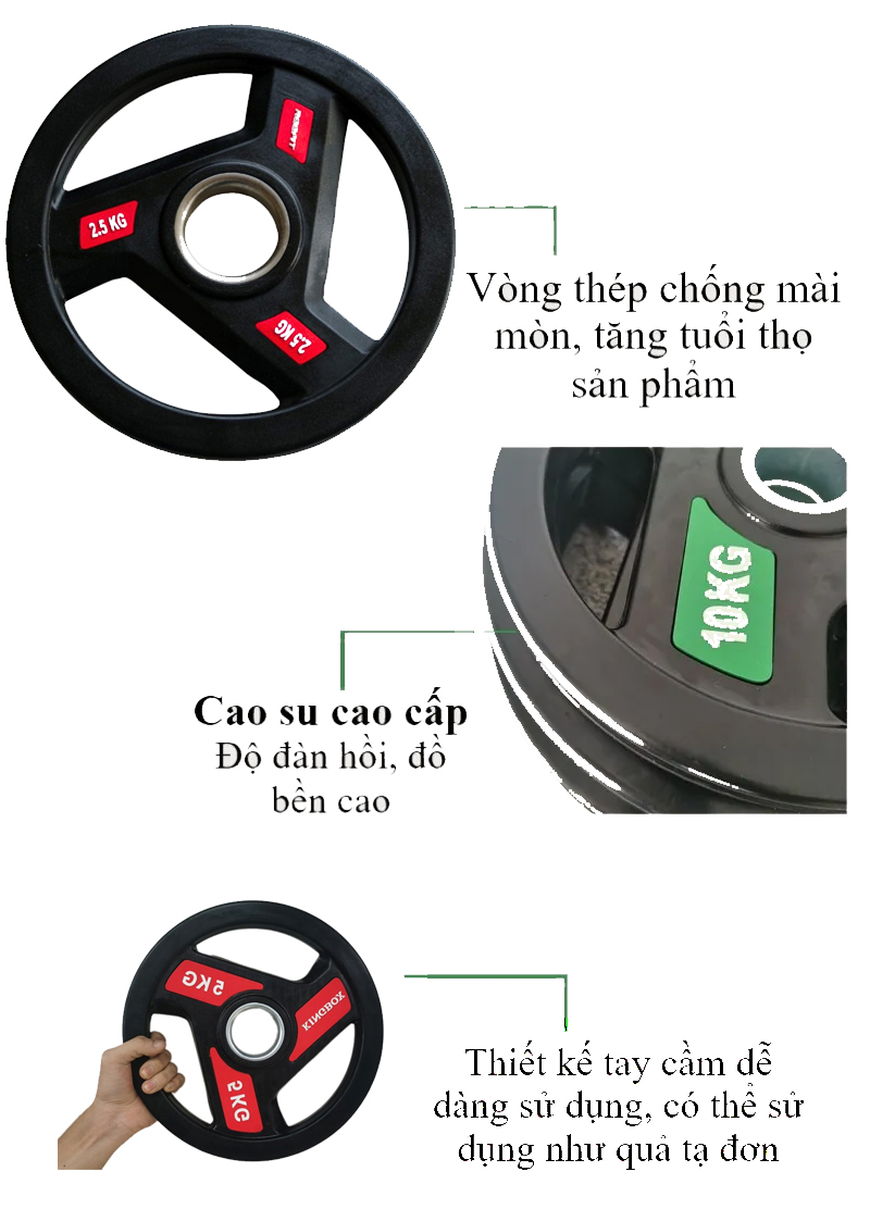 Tạ bánh cao su Kingbox (65.000/Kg) 5 Đặc điểm tạ bánh cao su Kingbox