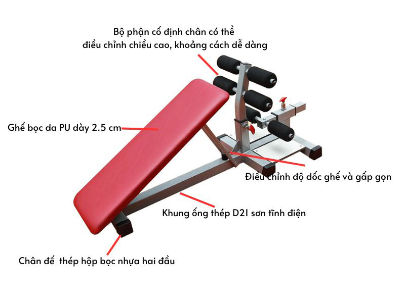 Khung tập lưng bụng - squat 601009