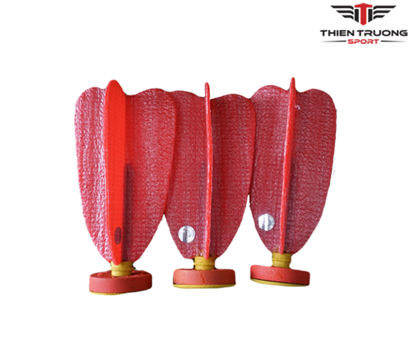 ảnh thumb Quả cầu đá thi đấu ĐLS