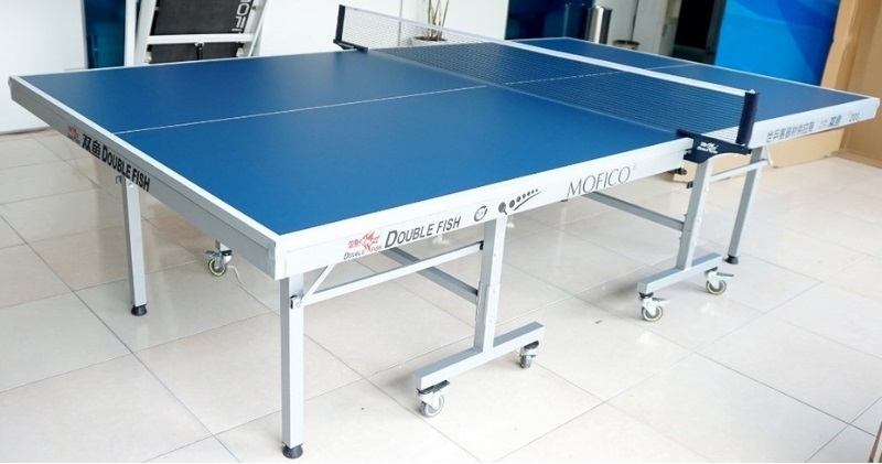 Bàn bóng bàn Double Fish 203M 5 Bàn bóng bàn Double Fish 203M