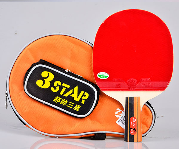 Vợt bóng bàn 729 3Star