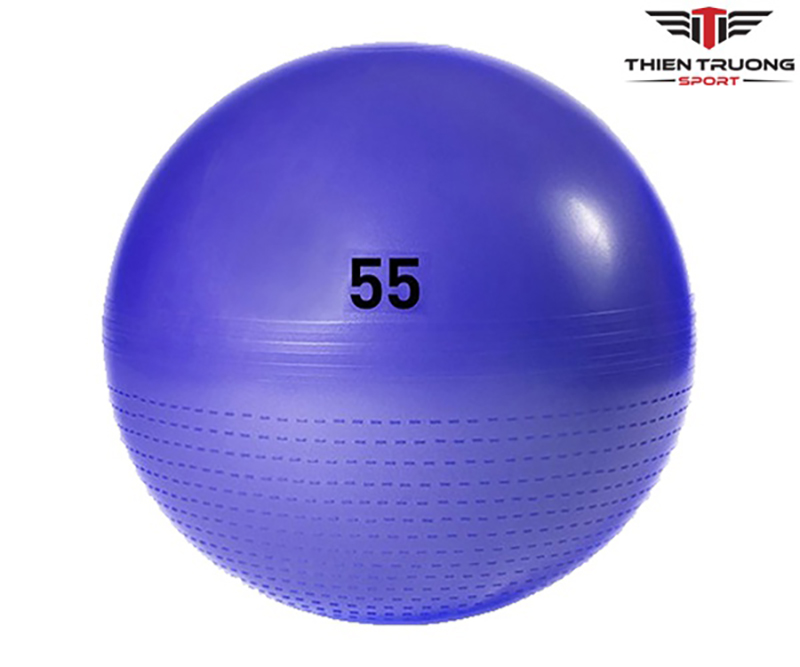Hình ảnh bóng tập thể dục Adidas ADBL-13245PL