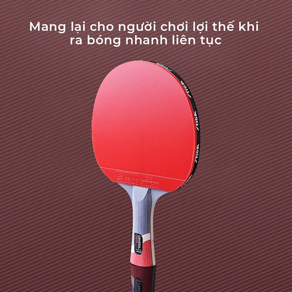 Vợt Bóng Bàn Stiga 4 sao 7 vợt bóng bàn Stiga 4 sao