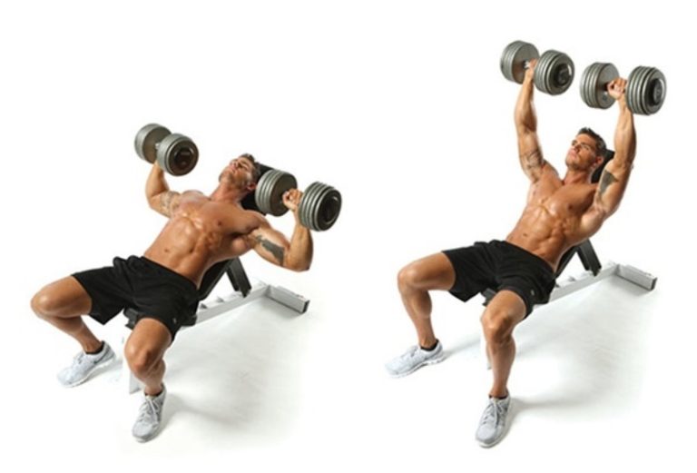 Bài tập Incline Neutral-Grip Dumbbell Press