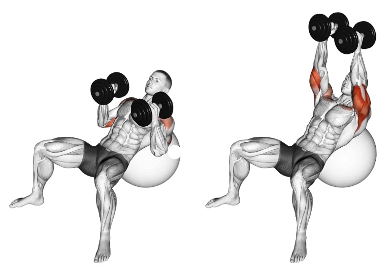 Bài tập Incline Dumbbell Press trên bóng tập
