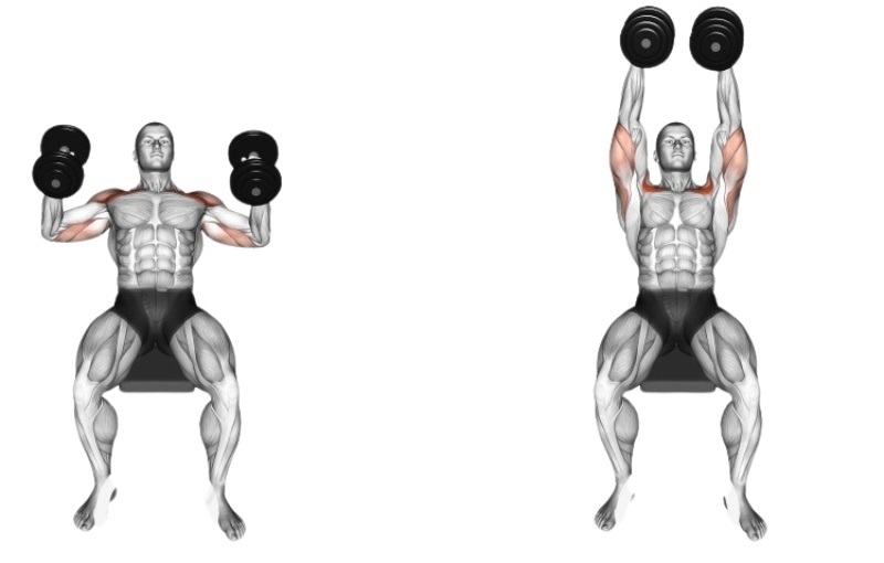 Bài tập Incline Neutral-Grip Dumbbell Press