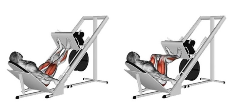 Leg Press là gì? Hướng dẫn tập Leg Press đạt kết quả tốt nhất 1 Leg Press là gì